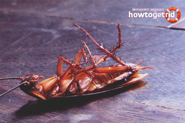 Mechanical methods of struggle