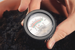 How to determine the acidity of the soil