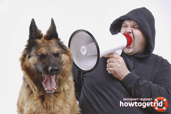 Prohibited Dog Punishment