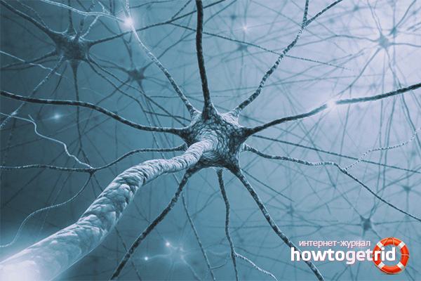 How to strengthen the nervous system