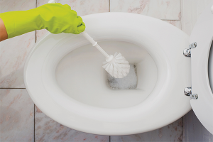 How to clean the toilet from urinary stone