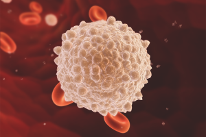 How to raise white blood cells after chemotherapy
