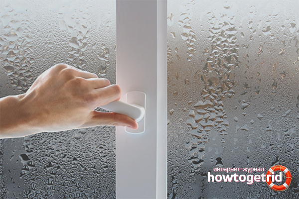 How to remove humidity in the apartment