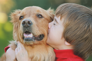 How to persuade parents to buy a dog