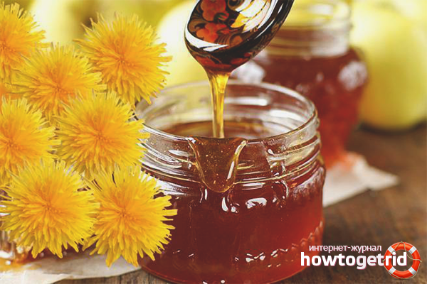 Sirop de pissenlit