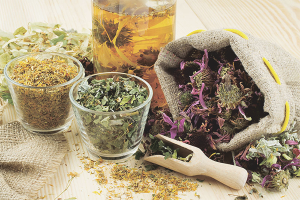 Herbs that reduce appetite and suppress hunger