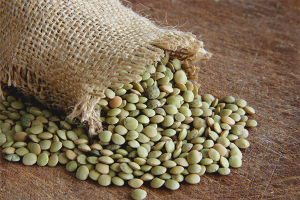 The benefits and harms of lentils