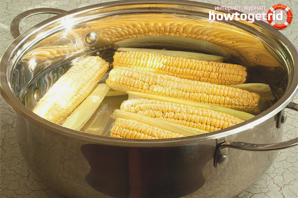 Maïs bouilli en épi