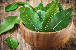 The benefits and harms of bay leaf