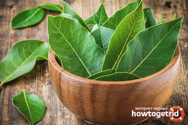The benefits and harms of bay leaf