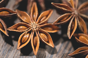 Useful properties and contraindications of star anise