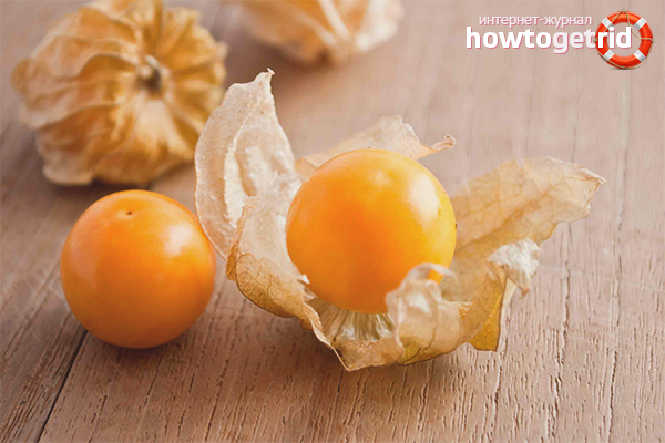 The benefits of physalis for women