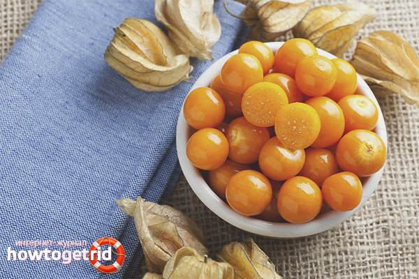 The benefits of physalis in wound healing
