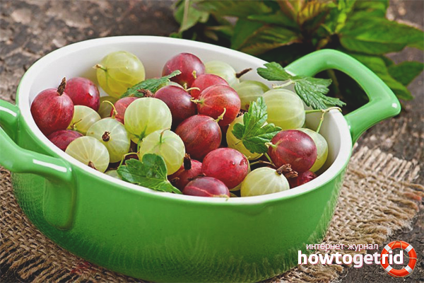 The benefits and harms of gooseberries for children