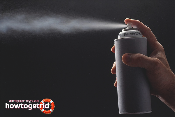 Professional ways to deal with moths