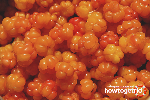 Cloudberry en cosmétologie