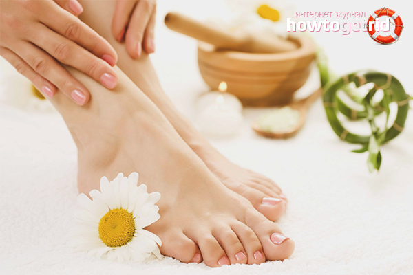 So entfernen Sie das Hundebein selbst