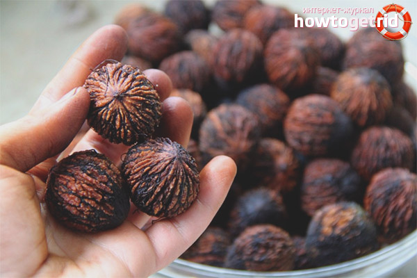 Nützliche Eigenschaften und Kontraindikationen von Schwarznuss