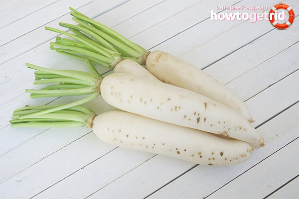 Nützliche Eigenschaften und Kontraindikationen von Daikon