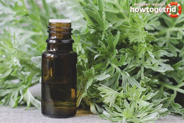 Wormwood in cosmetology