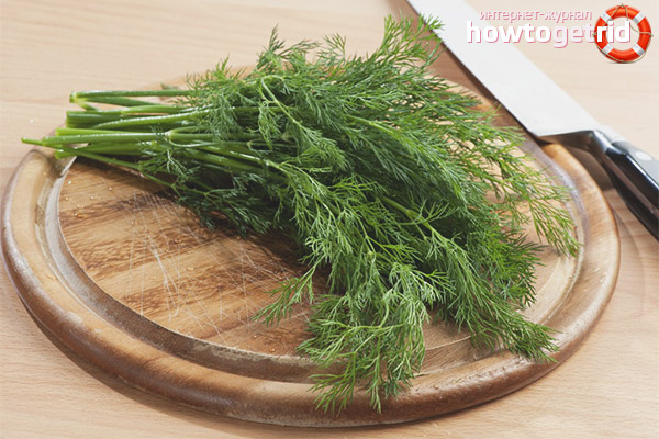 Dill während der Schwangerschaft