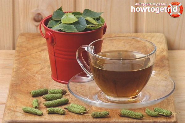 Compositions thérapeutiques des feuilles de bouleau