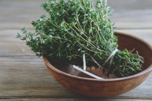 Therapeutic properties and contraindications thyme