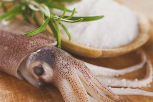 The benefits and harms of squid