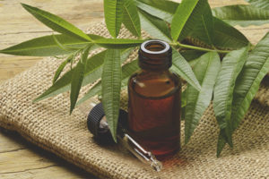 Tea Tree Essential Oil