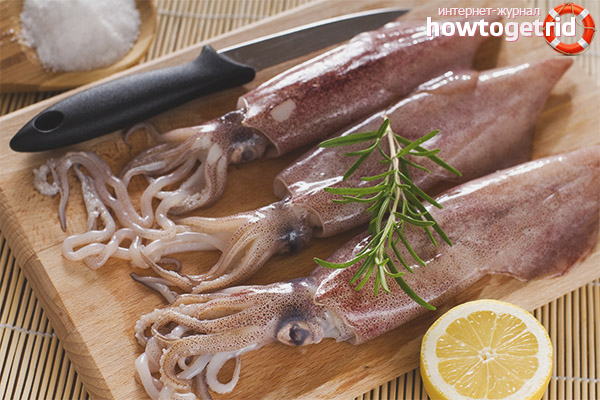 Stillende Tintenfische