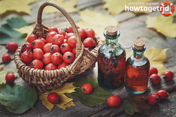 Propriétés et contre-indications utiles de l'aubépine