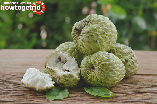 Propriétés et contre-indications utiles de la crème de pomme