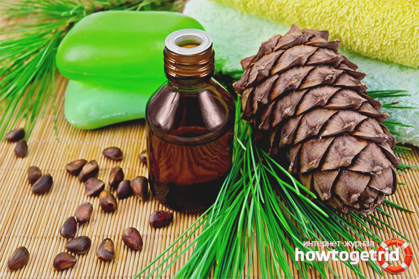 Die Vorteile der Tinktur bei Zedernnüssen