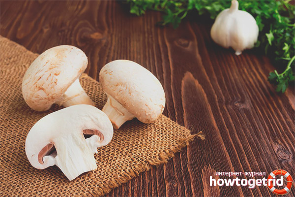 Die Regeln für die Verwendung von Champignons in HB