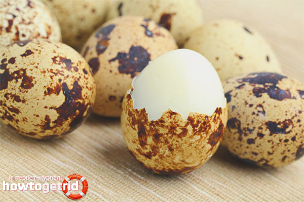 Wachteleier in der Mikrowelle kochen