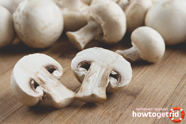 Kontraindikationen von Champignons während des Stillens