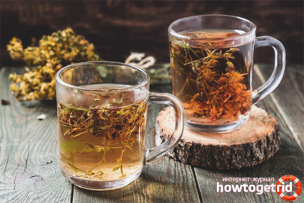 Hypericum tea brewing recipes