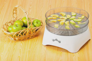 How to choose a dryer for fruits and vegetables