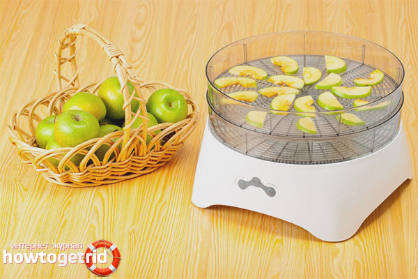 So wählen Sie einen Trockner für Obst und Gemüse