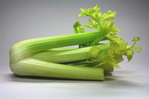 Can pregnant women eat celery