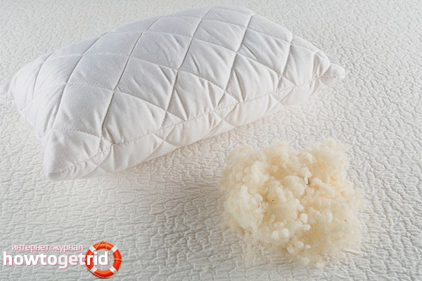 Nachteile Kissen aus Schafwolle