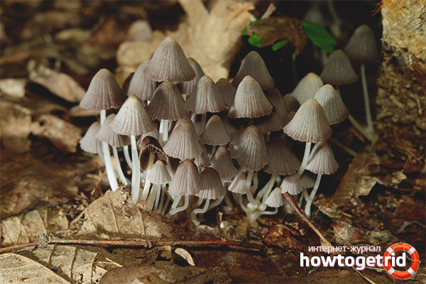 The scaffold is scattered