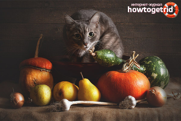 Quels légumes les chats peuvent-ils donner?