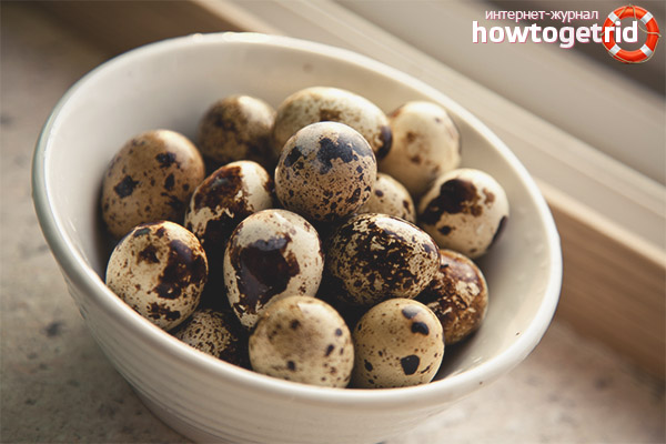Quels sont les œufs de caille utiles pour les hommes et les femmes
