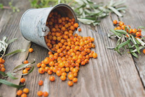 How to cook sea buckthorn for the winter