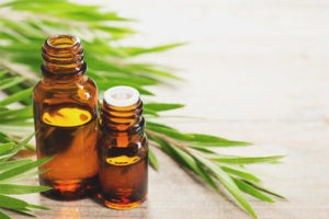 Tea tree oil for hair