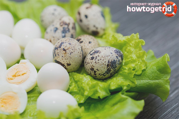 Règles de réception des œufs de caille