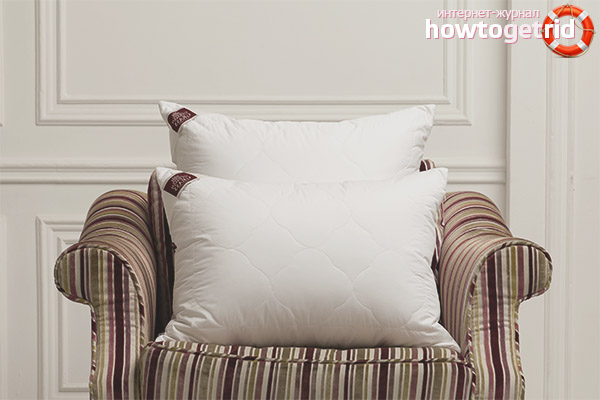 Sizes of Bamboo Pillows