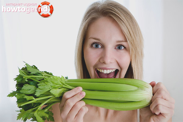 Qu'est-ce que le céleri utile