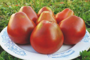 Tomato Ivan Kupala